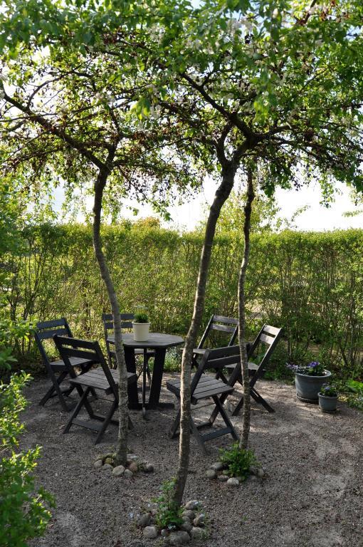Kontakta Liselotte Abel Bed & Breakfast Vessigebro Exterior foto